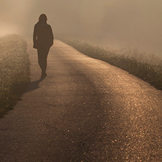 攻击网站的方法