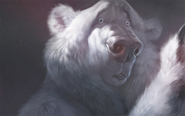 网站攻击工具手机版